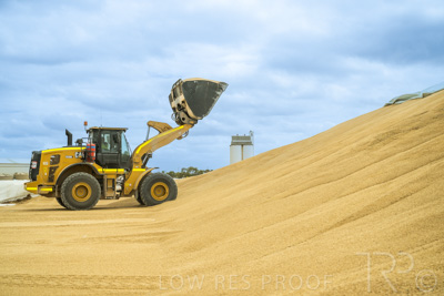 January 2023 / TAILEM-BEND_230118_056
