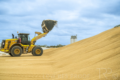 January 2023 / TAILEM-BEND_230118_057