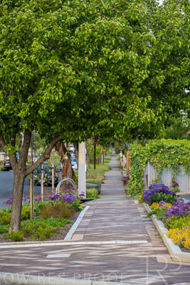 October 2022 / PROSPECT-Rd_221030__85N9725-HDR