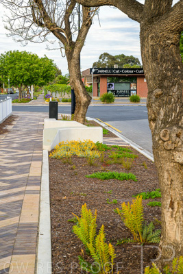 October 2022 / PROSPECT-Rd_221030__Z9C4217-HDR