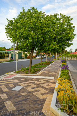 October 2022 / PROSPECT-Rd_221030__Z9C4262-HDR