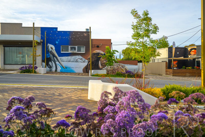 October 2022 / PROSPECT-Rd_221030__Z9C4400-HDR