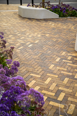 October 2022 / PROSPECT-Rd_221030__Z9C4466-HDR