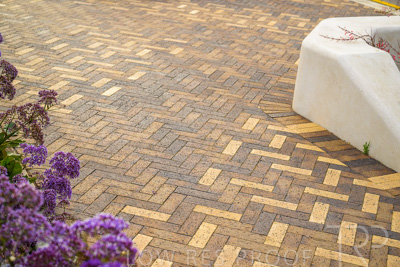 October 2022 / PROSPECT-Rd_221030__Z9C4475-HDR