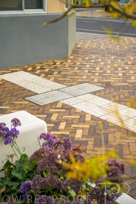 October 2022 / PROSPECT-Rd_221030__Z9C4508-HDR