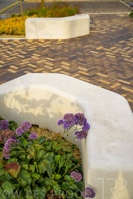 October 2022 / PROSPECT-Rd_221030__Z9C4517-HDR