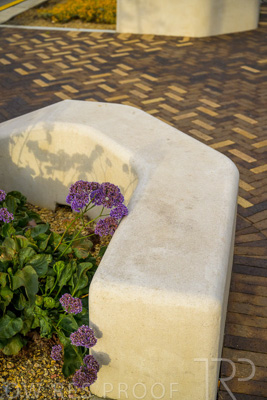 October 2022 / PROSPECT-Rd_221030__Z9C4520-HDR