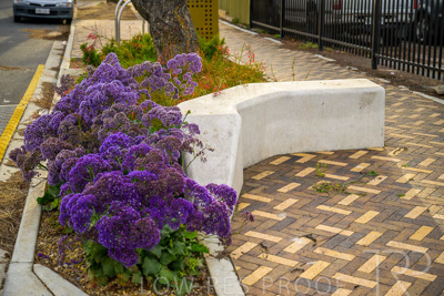 October 2022 / PROSPECT-Rd_221030__Z9C4526-HDR