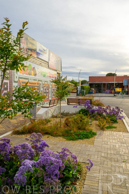 October 2022 / PROSPECT-Rd_221030__Z9C4604-HDR