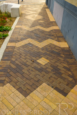 October 2022 / PROSPECT-Rd_221030__Z9C4622