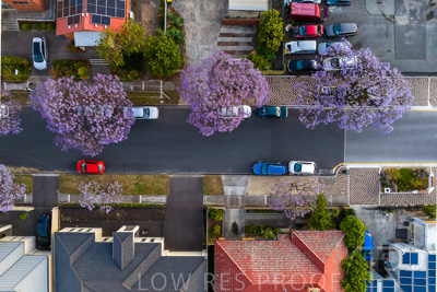 November 2022 / Prospect-Rd-221123-0520